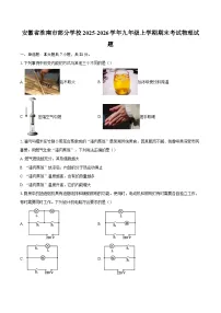 安徽省淮南市部分学校2025-2026学年九年级上学期期末考试物理试题-自定义类型