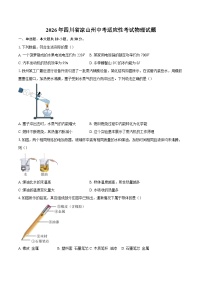 2026年四川省凉山州中考适应性考试物理试题-自定义类型