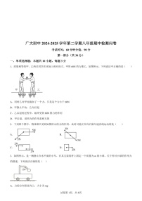 广东省广州市广州大学附中2024-2025学年八年级下学期期中物理试题（含答案）