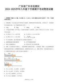 广东省广州市花都区2024-2025学年八年级下学期期中考试物理试题（含答案）