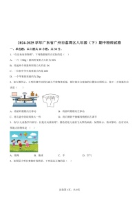 广东省广州市荔湾区2024-2025学年八年级下学期期中物理试题（含答案）
