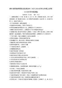 2025-2026学年贵州省黔南布依族苗族自治州九年级上学期10月月考考试物理试卷（学生版）