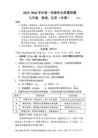 广东省深圳市罗湖区2025-2026学年九年级上学期期末考试物理化学合卷