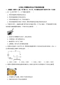 甘肃省陇南市2026年九年级上学期期末学业水平测试物理试题附答案