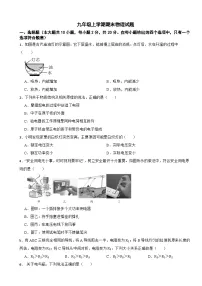河北省保定市2025年九年级上学期期末物理试题附答案