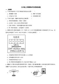 河北省衡水市2025年九年级上学期期末考试物理试题附答案