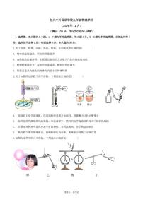 内蒙古包头市第九中学外国语学校2024-2025学年九年级上学期期中考试物理试卷（含答案）