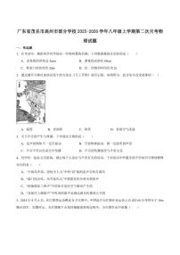 广东省茂名市高州市2025-2026学年八年级上学期第二次月考物理试卷（含答案）
