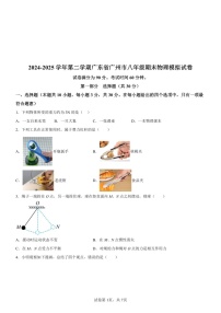 广东省广州市2024-2025学年八年级下学期期末模拟物理试题（含答案）