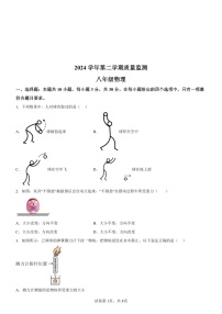 广东省广州市海珠区2024-2025学年八年级下学期期末物理试题（含答案）