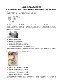广东省广州市番禺区2026年九年级上学期期末考试物理试题附答案