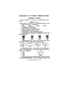 甘肃陇南市武都区2025-2026学年九年级上学期1月期末物理试题（含答案）