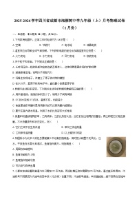 2025-2026学年四川省成都市泡桐树中学九年级（上）月考物理试卷（1月份）-自定义类型