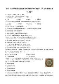 2025-2026学年四川省成都市泡桐树中学九年级（上）月考物理试卷（1月份）-自定义类型
