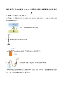 湖北省武汉市市东新区2024-2025学年九年级上学期期末考试物理试题-自定义类型