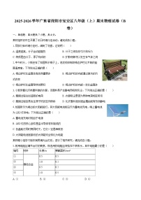 2025-2026学年广东省深圳市宝安区八年级（上）期末物理试卷（B卷）-自定义类型