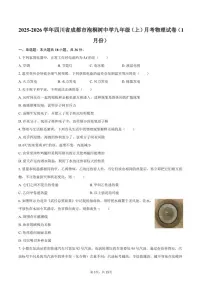 2024-2025学年四川省成都市泡桐树中学九年级（上）月考物理（1月份）试卷（含答案）