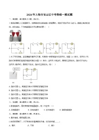 2026年上海市宝山区中考物理一模试题-自定义类型