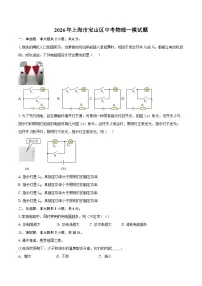 2026年上海市宝山区中考物理一模试题-自定义类型