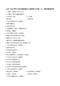 2025-2026学年上海市浦东新区几校联考九年级（上）期末物理试卷-自定义类型