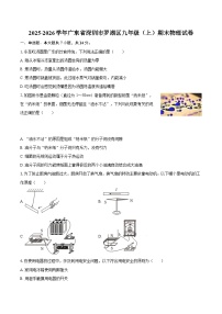2025-2026学年广东省深圳市罗湖区九年级（上）期末物理试卷-自定义类型