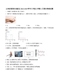 山东省淄博市高新区2024-2025学年八年级上学期1月期末物理试题-自定义类型