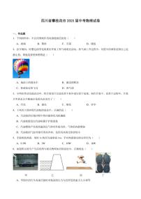 2025届四川省攀枝花市中考物理试卷（含答案）