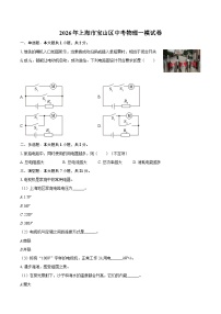 2026年上海市宝山区中考物理一模试卷-自定义类型