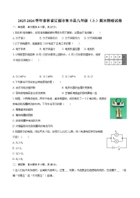 2025-2026学年吉林省辽源市东丰县九年级（上）期末物理试卷-自定义类型