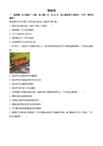 广东省深圳市宝安区2025-2026学年九年级上学期期末物理试题（有解析）