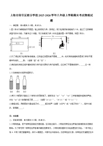 上海市闵行区部分学校2025-2026学年八年级上学期期末考试物理试题-自定义类型