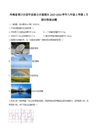河南省周口市西华县部分乡镇期末2025-2026学年八年级上学期1月期末物理试题-自定义类型