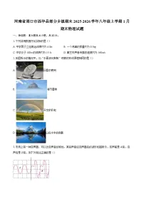 河南省周口市西华县部分乡镇期末2025-2026学年八年级上学期1月期末物理试题-自定义类型