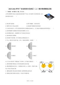 2025-2026学年广东省深圳市龙岗区九年级（上）期末物理模拟试卷（含答案）
