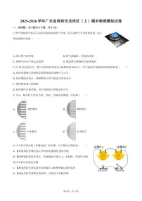 2025-2026学年广东省深圳市龙岗区九年级（上）期末物理模拟试卷（含答案）