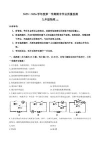 2025-2026学年新疆伊犁上学期期末九年级物理试卷（含答案）