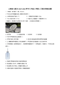 云南省玉溪市2025-2026学年八年级上学期1月期末物理试题-自定义类型