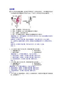 2024-2025年新疆各地市中考物理模拟题分类精选18.杠杆（Word版附解析）