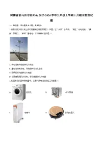 河南省驻马店市泌阳县2025-2026学年九年级上学期1月期末物理试题-自定义类型