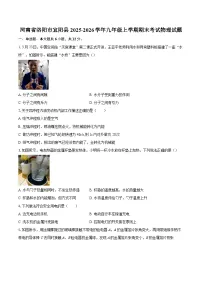 河南省洛阳市宜阳县2025-2026学年九年级上学期期末考试物理试题-自定义类型