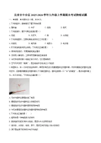 北京市丰台区2025-2026学年九年级上学期期末考试物理试题-自定义类型