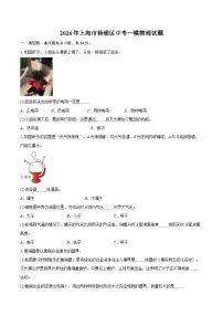 2026年上海市杨浦区中考一模物理试题-自定义类型