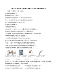 2025-2026学年八年级上学期1月期末物理试题四川-自定义类型