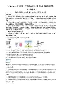 广东省佛山市南海区狮山镇初中九年级上学期期中教学质量检测物理试题（解析版）-A4