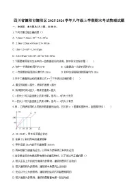 四川省德阳市旌阳区2025-2026学年八年级上学期期末考试物理试题-自定义类型