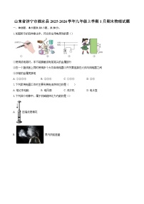 山东省济宁市泗水县2025-2026学年九年级上学期1月期末物理试题-自定义类型