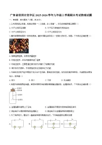 广东省深圳市龙华区2025-2026学年九年级上学期期末考试物理试题-自定义类型