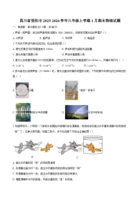 四川省资阳市2025-2026学年八年级上学期1月期末物理试题-自定义类型