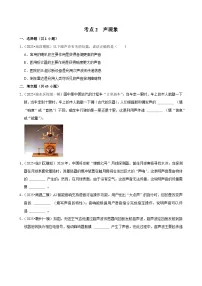 2025年江西省各地市中考物理模拟试题分类精选考点2 声现象（Word版附解析）