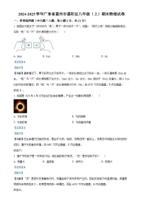 广东省惠州市惠阳区八年级上学期期末考试物理试题（解析版）-A4